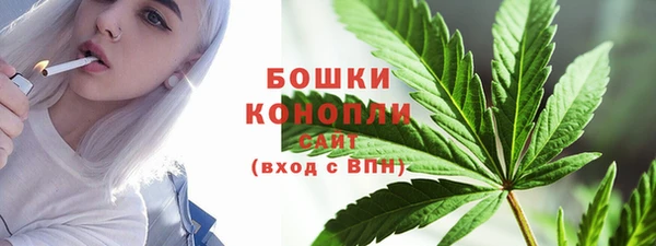 шишки Дубовка